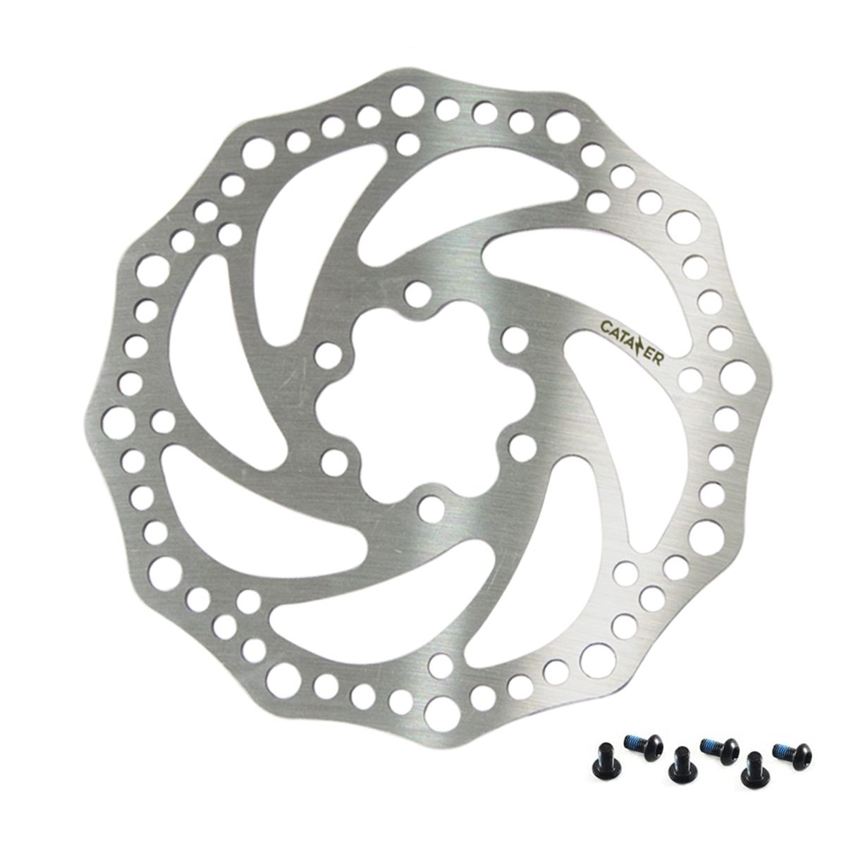 Silver 160mm bike disc brake rotor with six bolt holes on white background