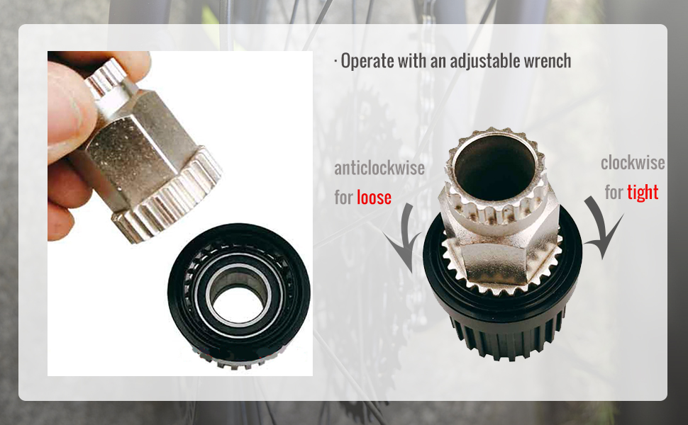 Dt Swiss Exp 54t Ratchet Hub Lockring Tool Detail dt swiss exp 54t ratchet hub lockring tool detail